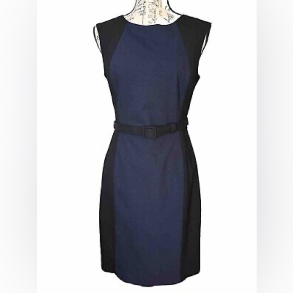 Banana Republic Navy and Black Dress